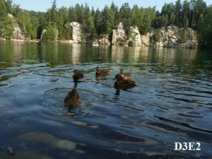 Adršpach - jezírko pískovna