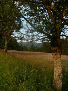 Zdobnická Seč (Šajtava)