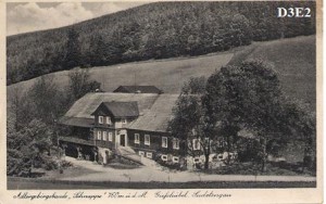 olesnice--cihalka-kolem-roku-1910.jpg