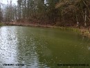 rybníček ve Všenorech