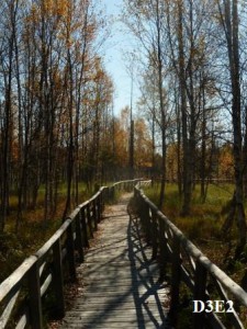 naučná stezka v Rašeliništích pod Zielencem